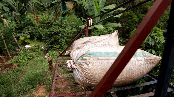 Colombian coffee wholesale sacks