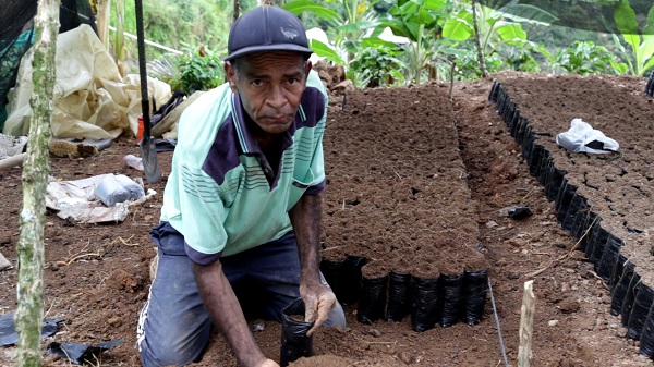 coffee farmer colombian